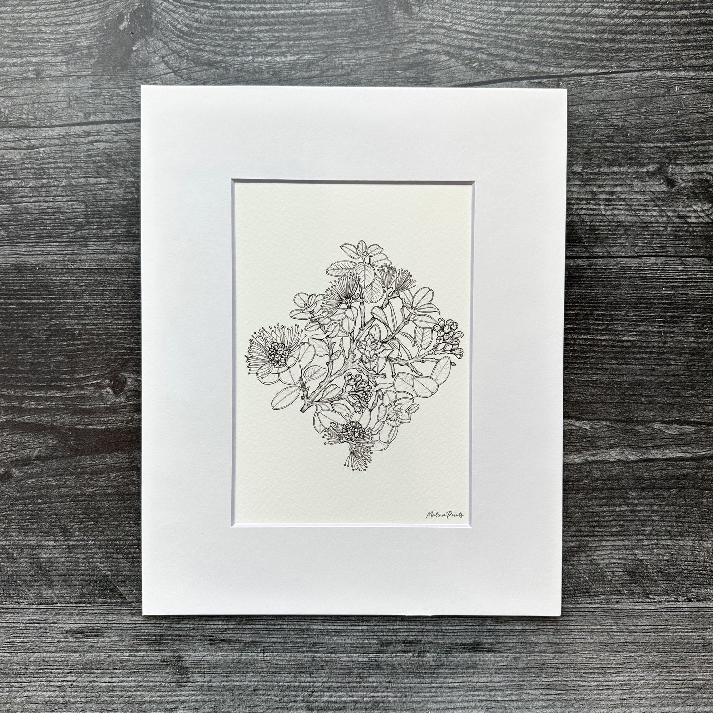 Ohia Lehua Linework | Art Print