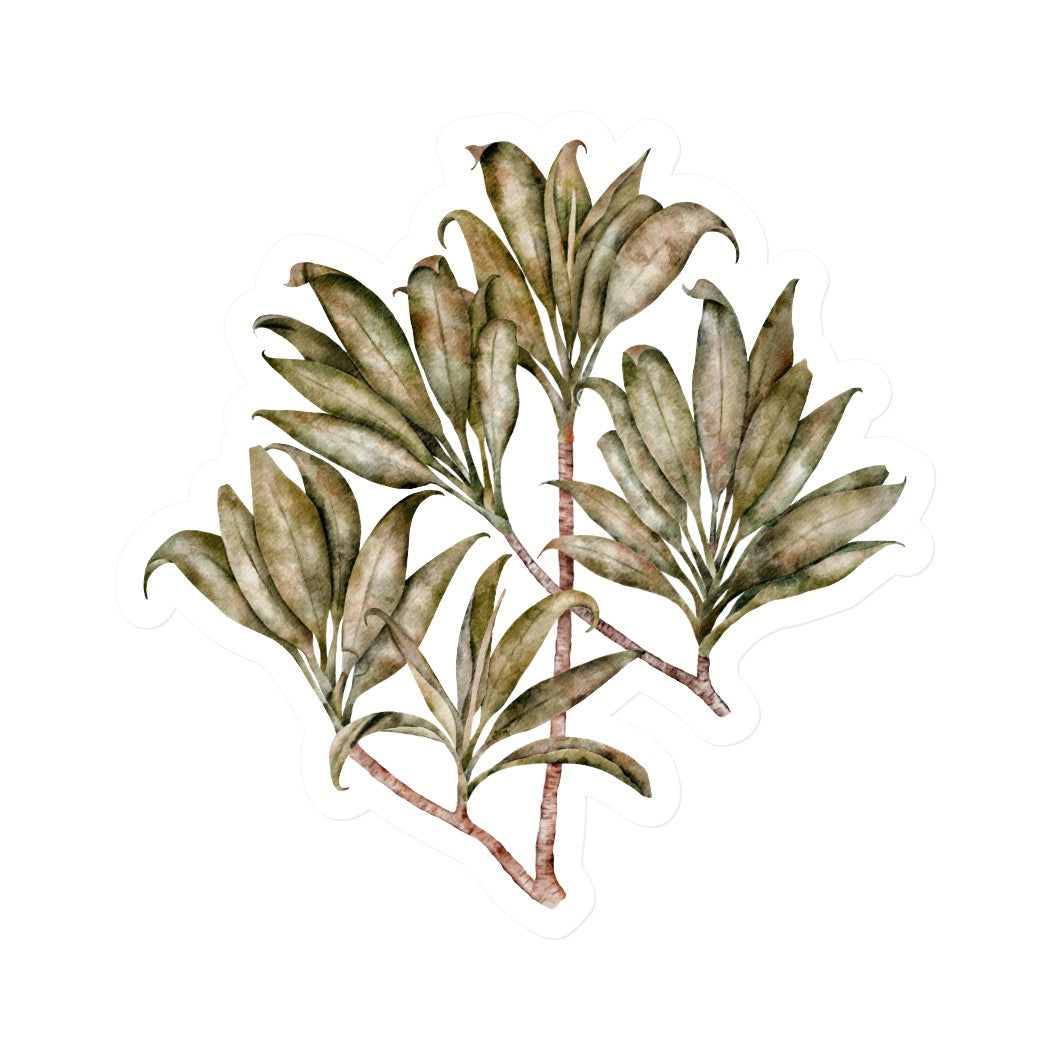 Brown Ti Leaves | Vinyl Stickers