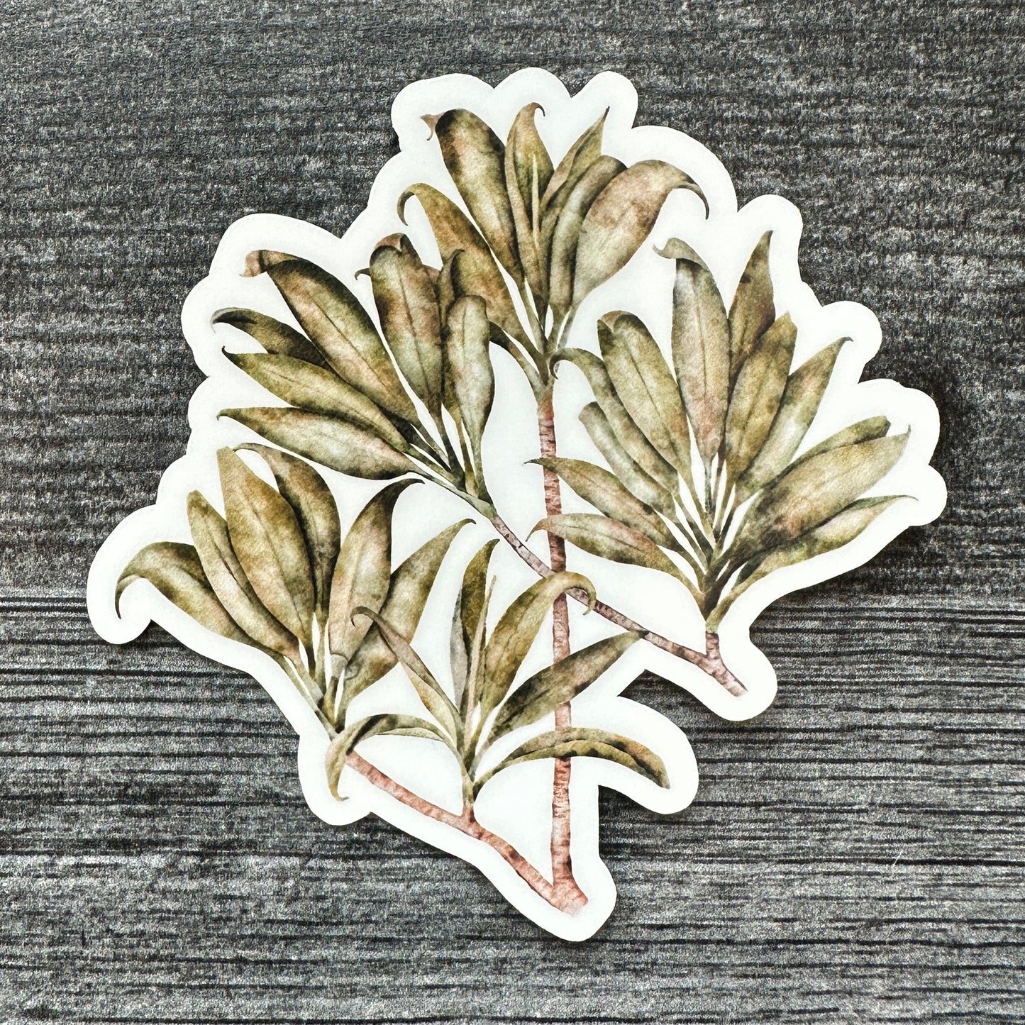 Brown Ti Leaves | Vinyl Stickers