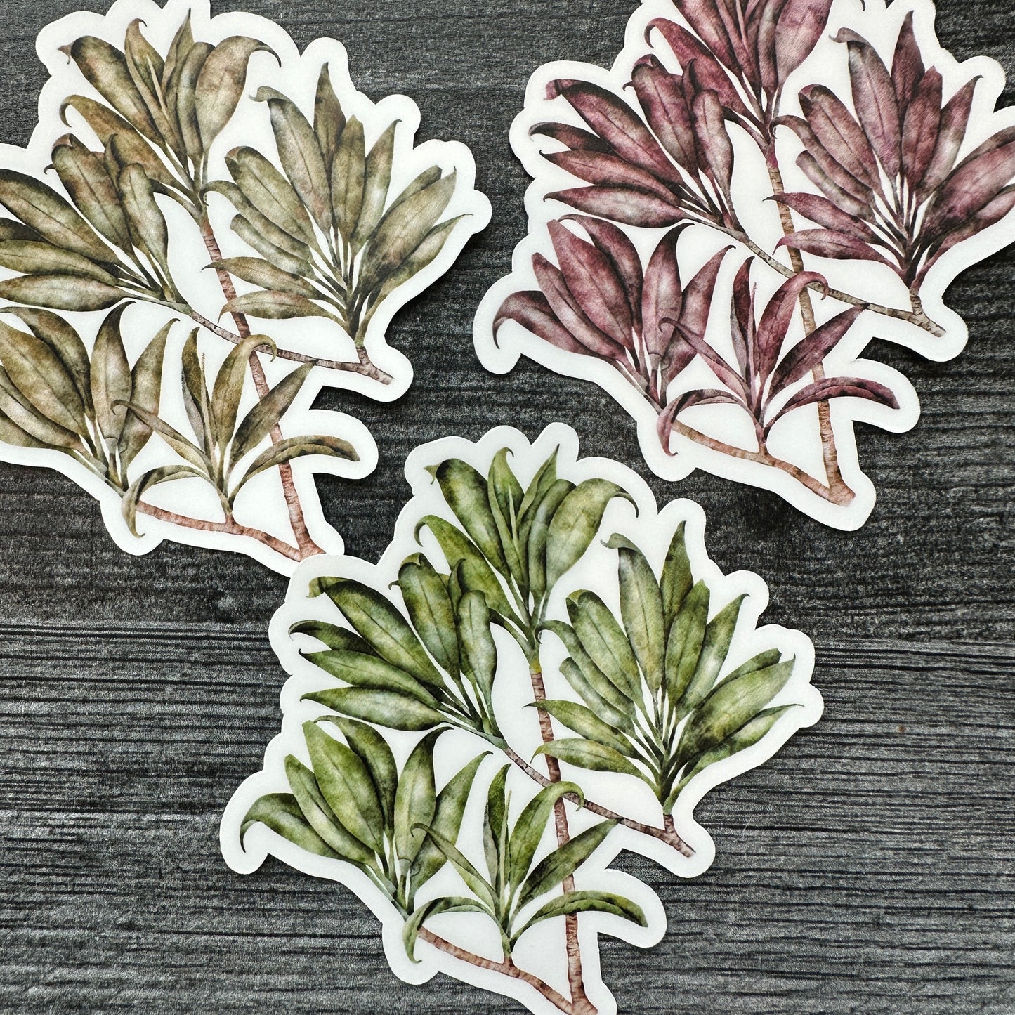 Brown Ti Leaves | Vinyl Stickers