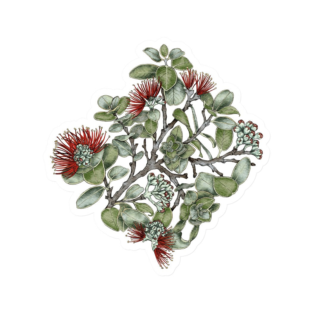 'Ohi'a Lehua- Red | Vinyl Sticker