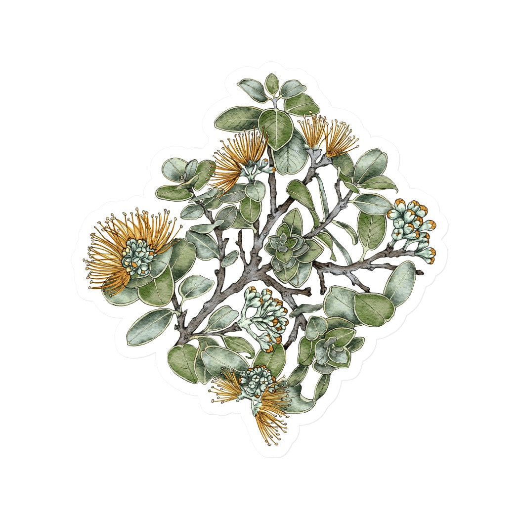 'Ohi'a Lehua- Yellow | Vinyl Sticker