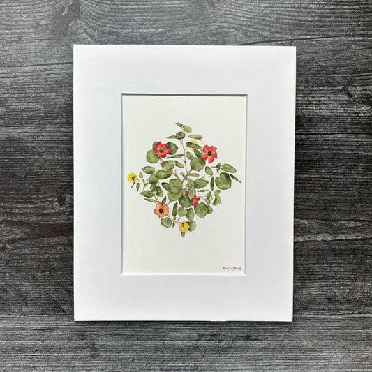 Hau | Art Print