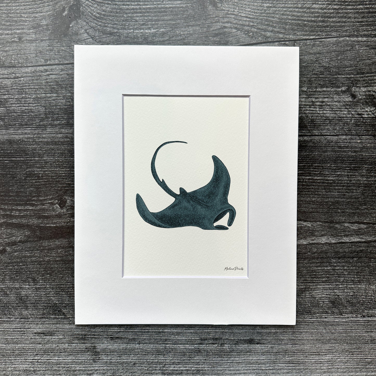 Manta Ray | Art Print