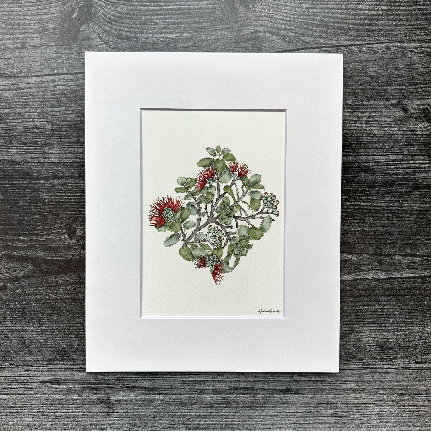 Red Ohia Lehua | Art Print