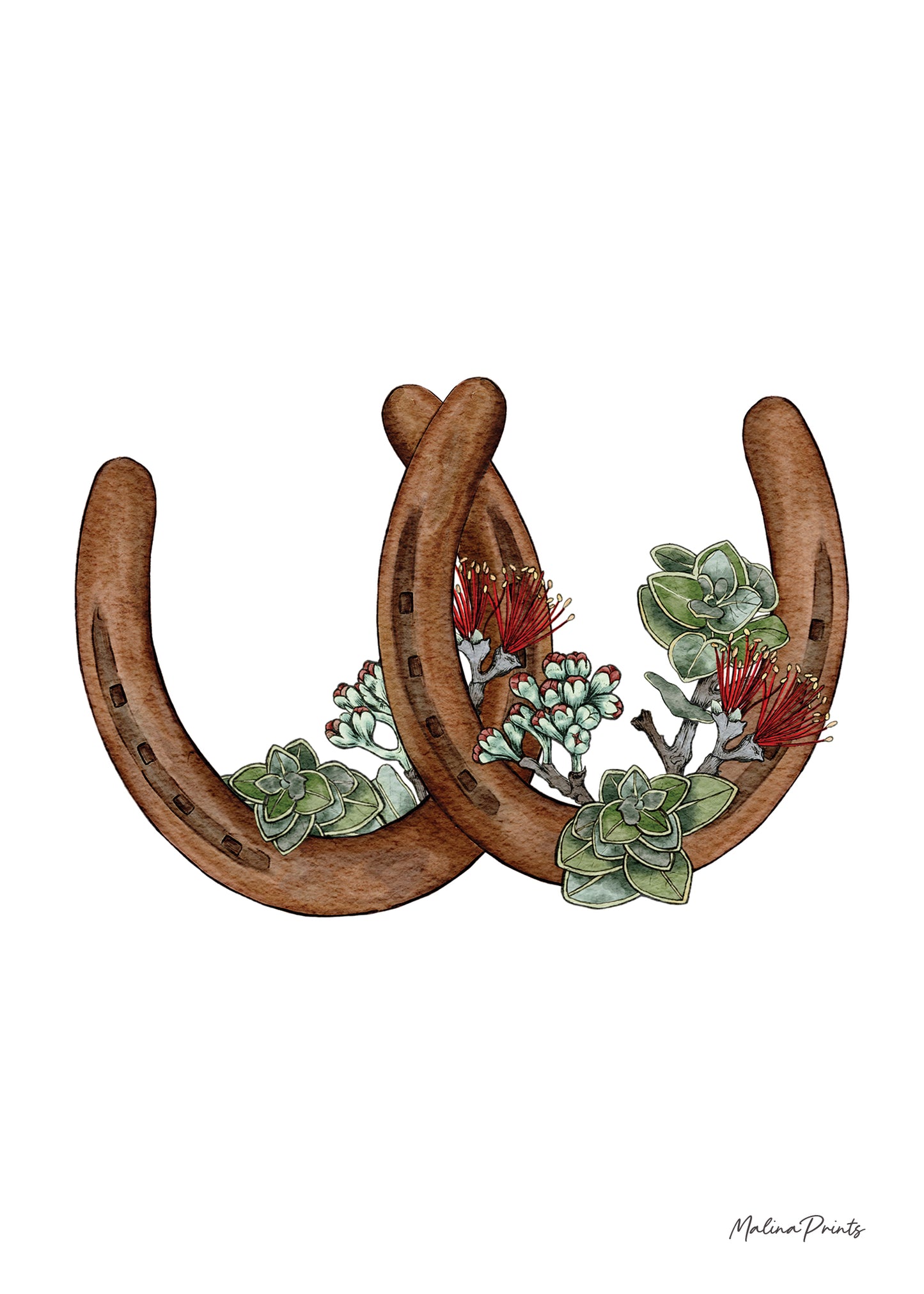 Double Horseshoes- Ohia Lehua | Art Print