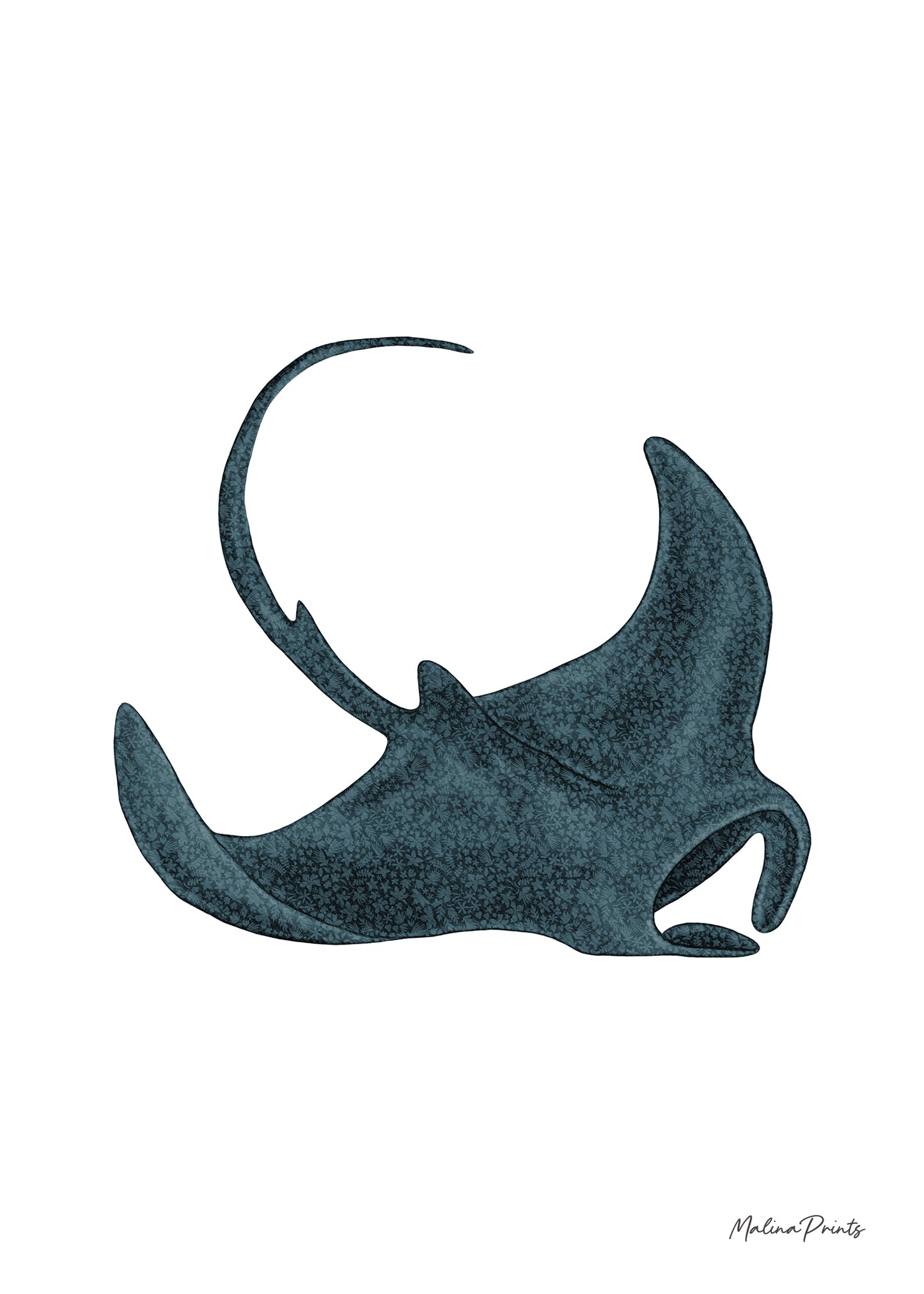 Manta Ray | Art Print