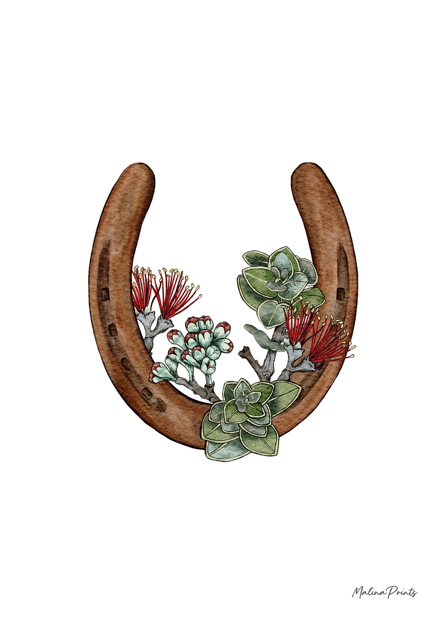 Single Horseshoe- Ohia Lehua | Art Print