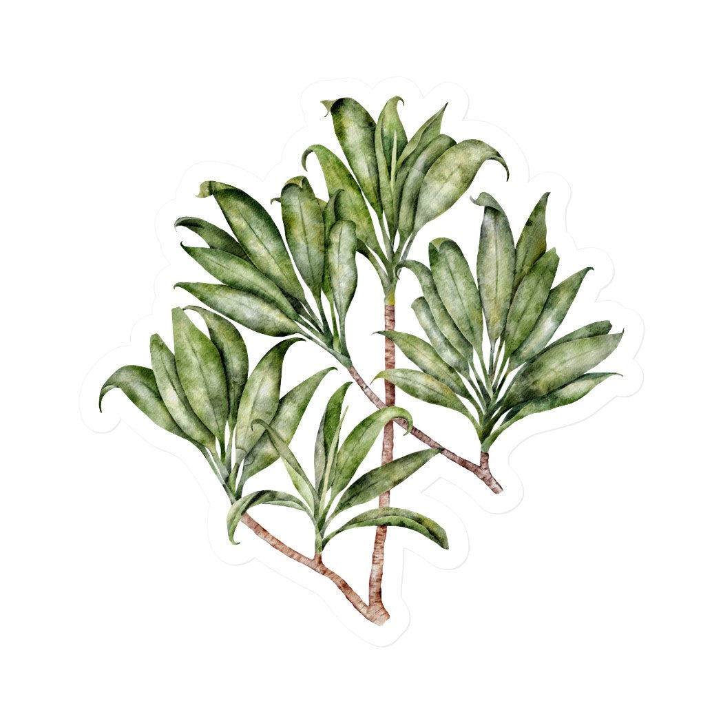 Green Ti Leaves | Vinyl Stickers
