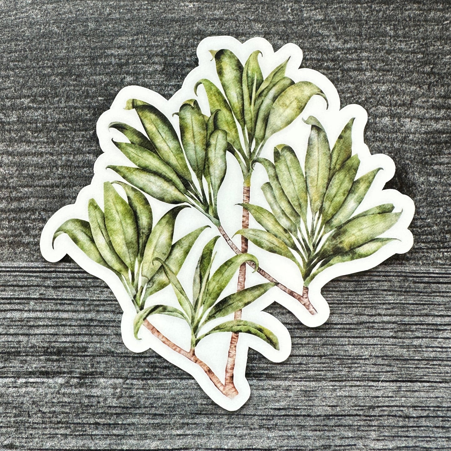 Green Ti Leaves | Vinyl Stickers